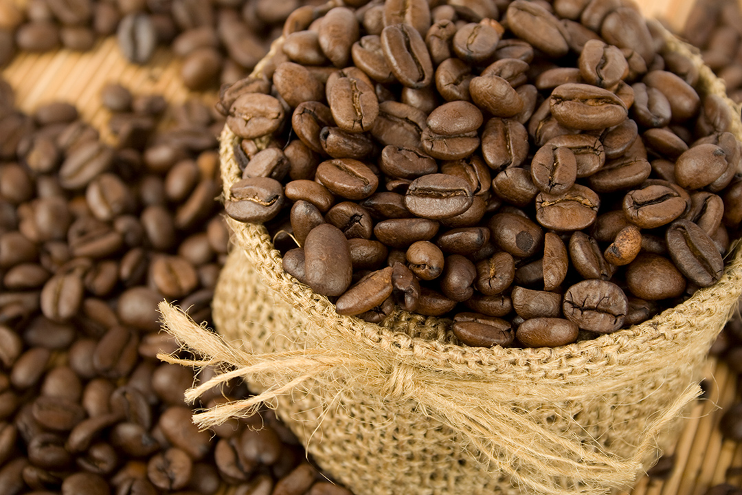 Conheça os diferentes tipos de grãos de café e entenda o que muda na sua  xícara - Blog Intercoffee
